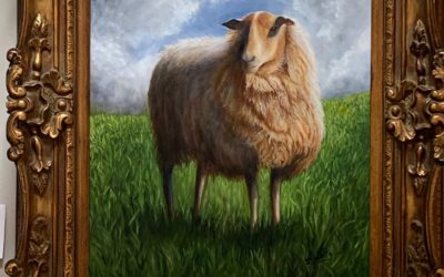 Sheep by Joyce White
