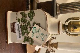 Small botanical lamp (white/green)