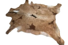 Goat Hides